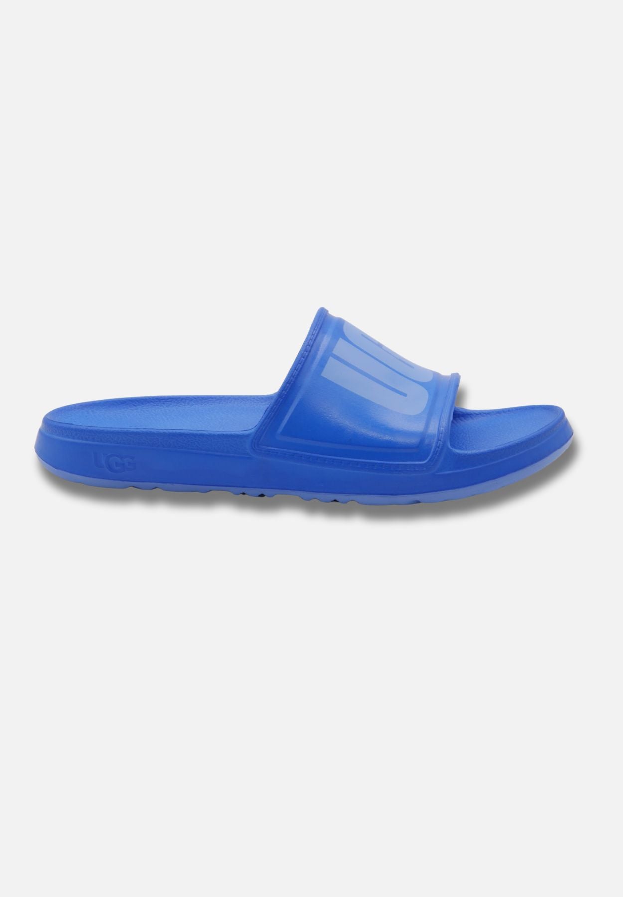 wilcox slide - blau