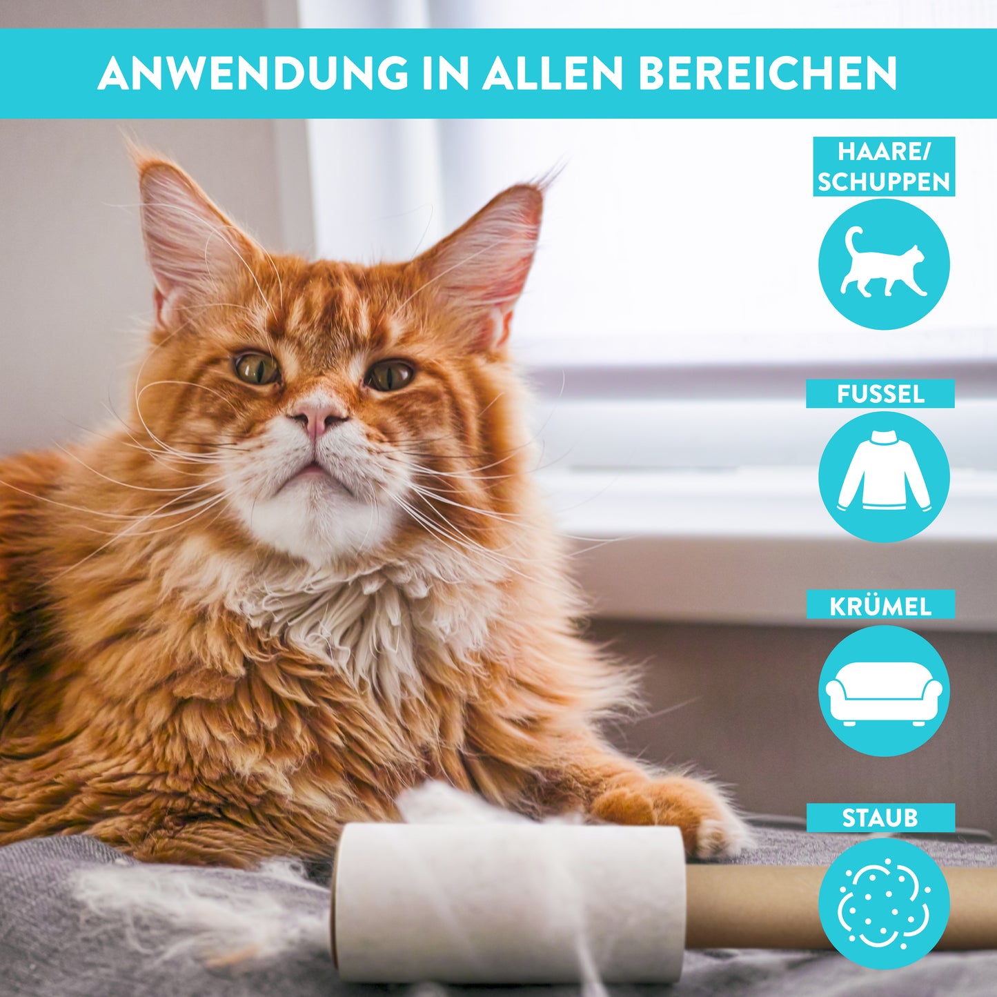 fusselrollen set: 4 rollen + 1 griff - weiß