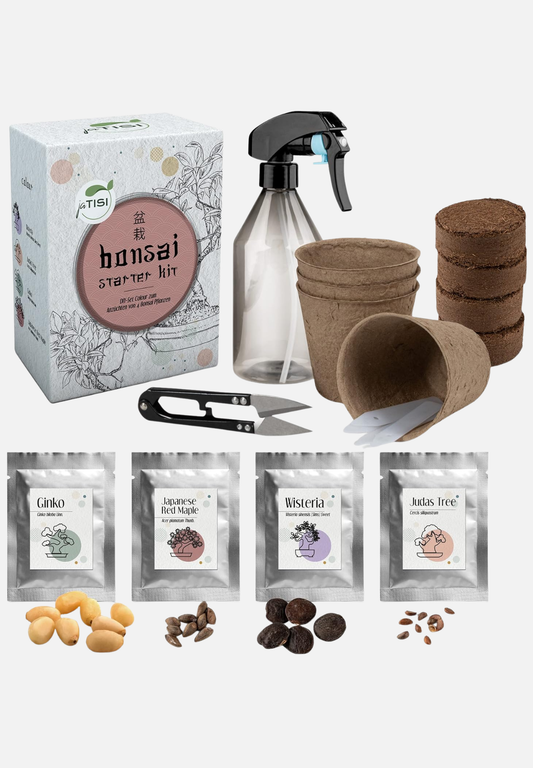 Bonsai-Starter-Set - mehrfarbig
