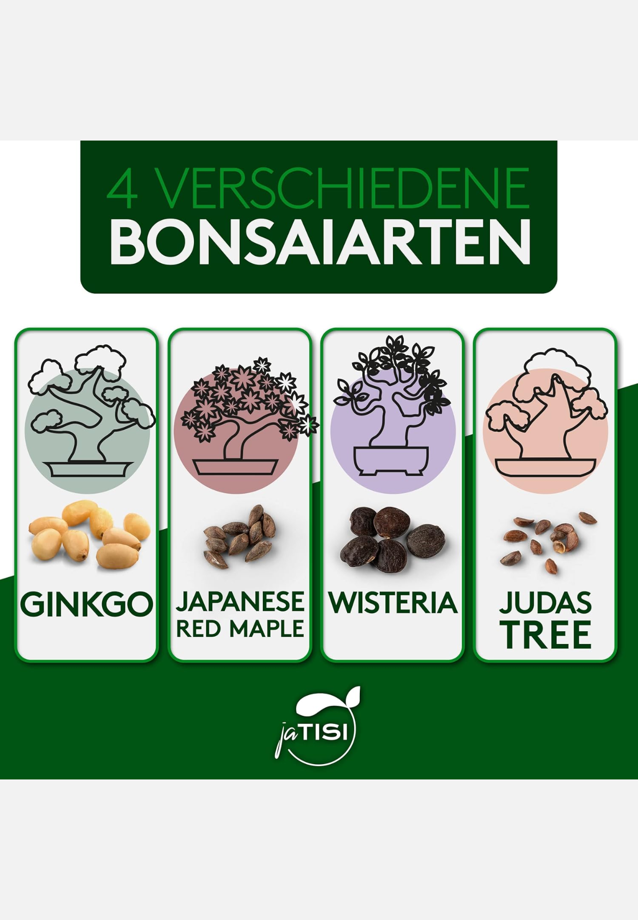 bonsai-starter-set - mehrfarbig