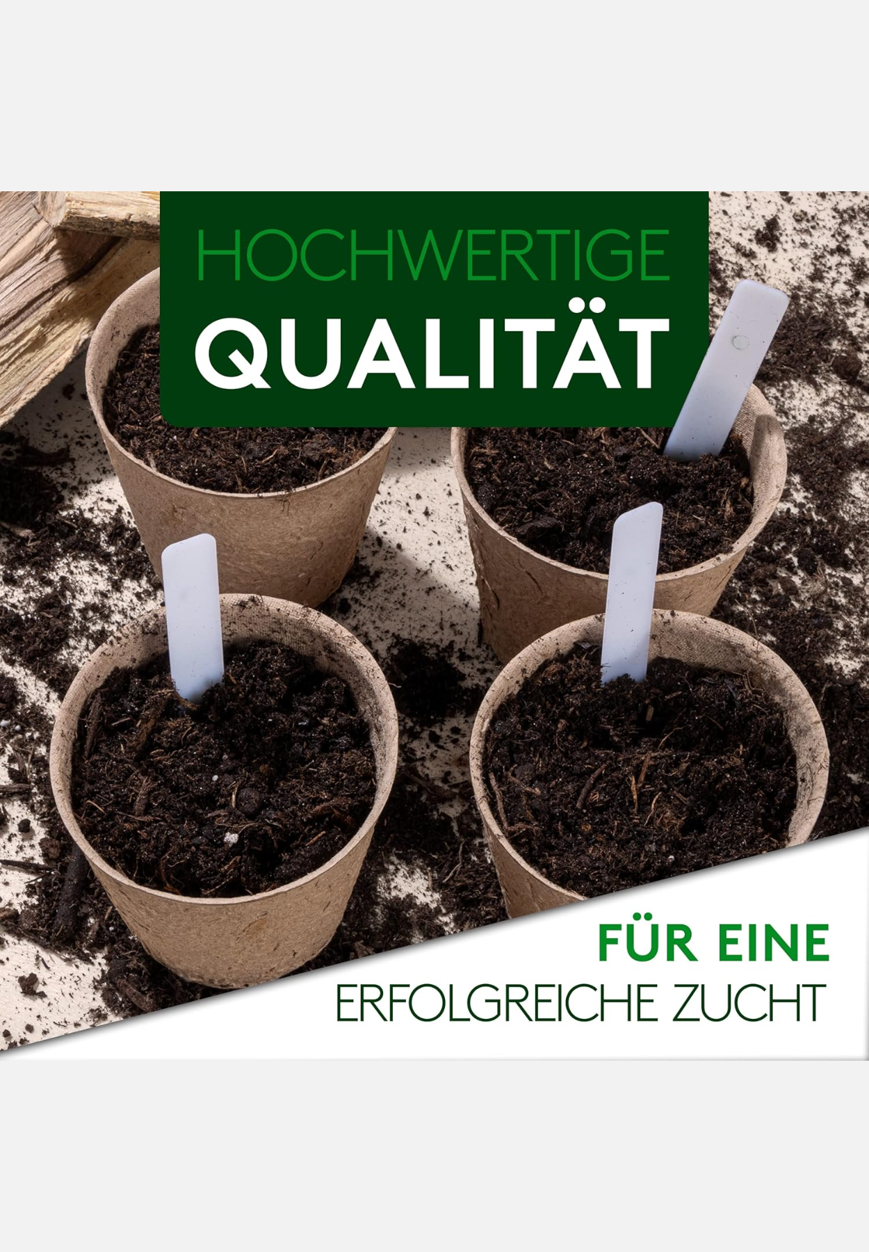 bonsai-starter-set - mehrfarbig