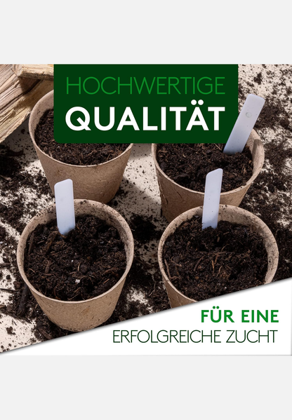 Bonsai-Starter-Set - mehrfarbig