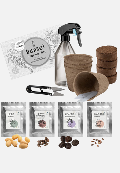 Bonsai-Starter-Set - mehrfarbig