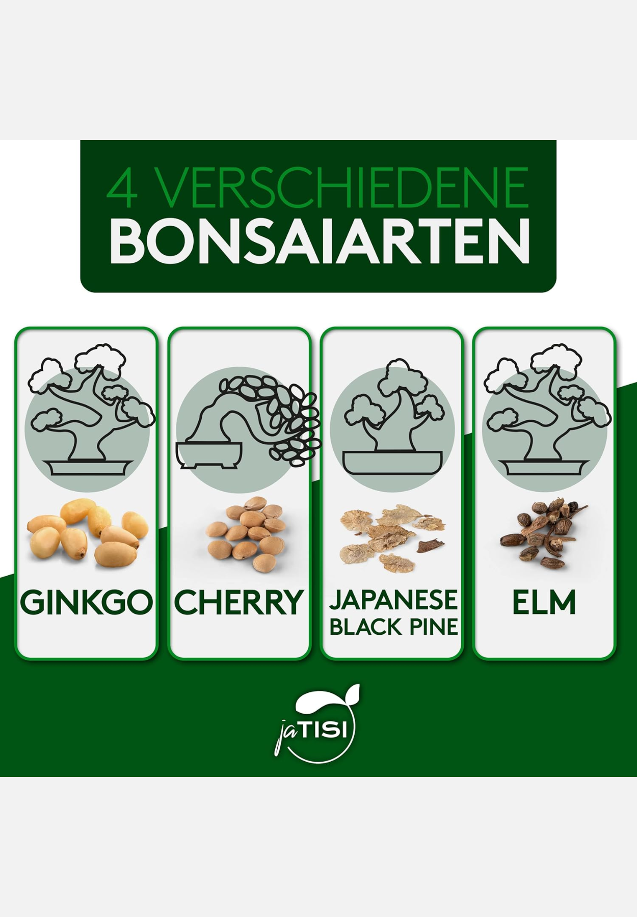 bonsai-starter-set - grün