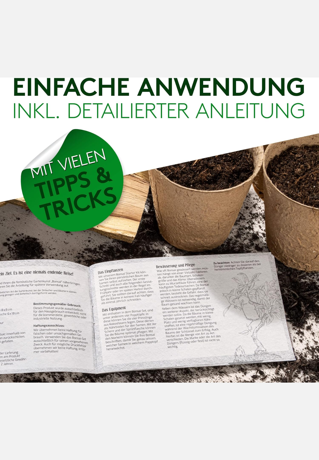 bonsai-starter-set - grün